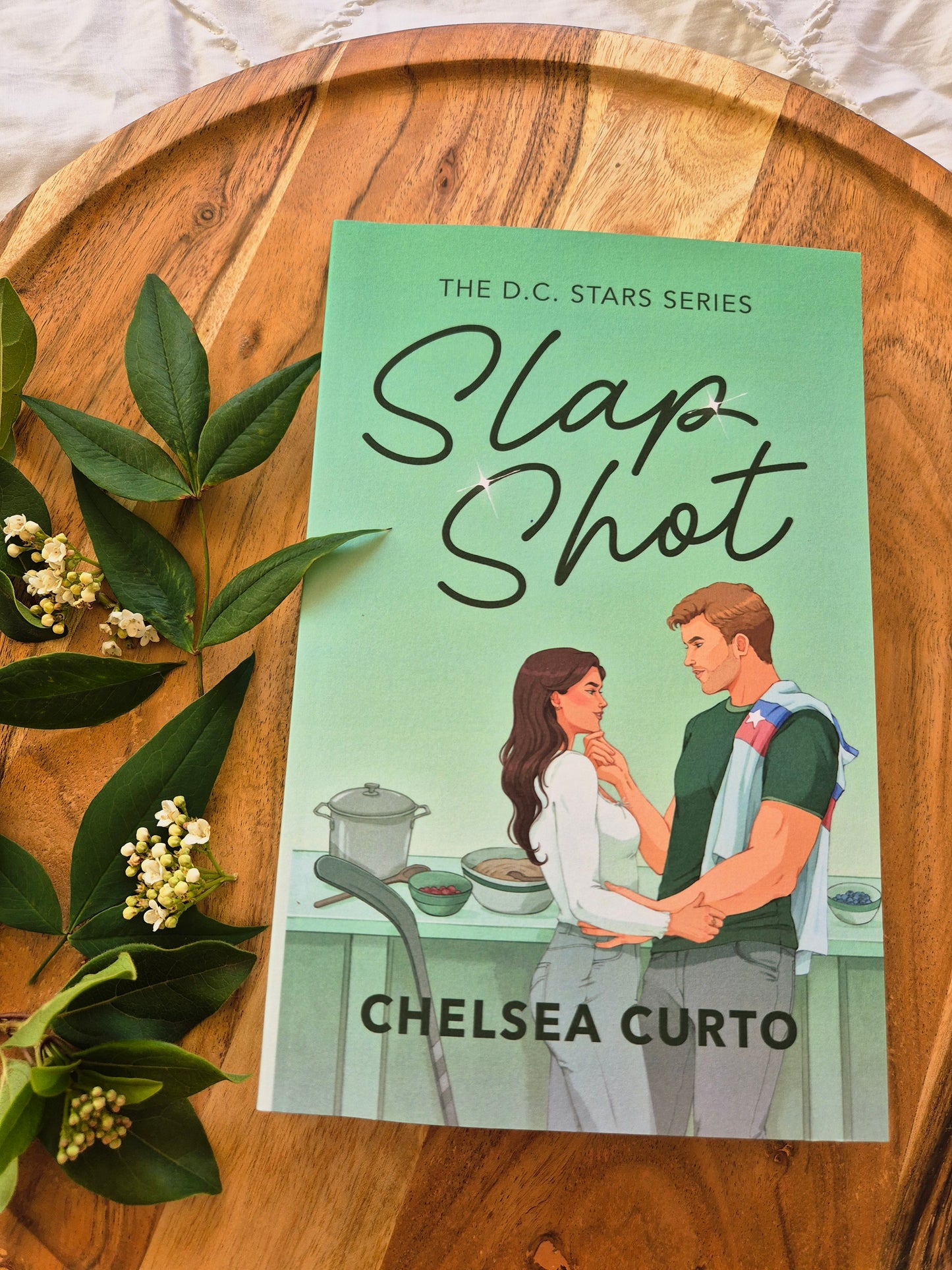 Slap Shot By Chelsea Curto (D.C. Stars book 3)