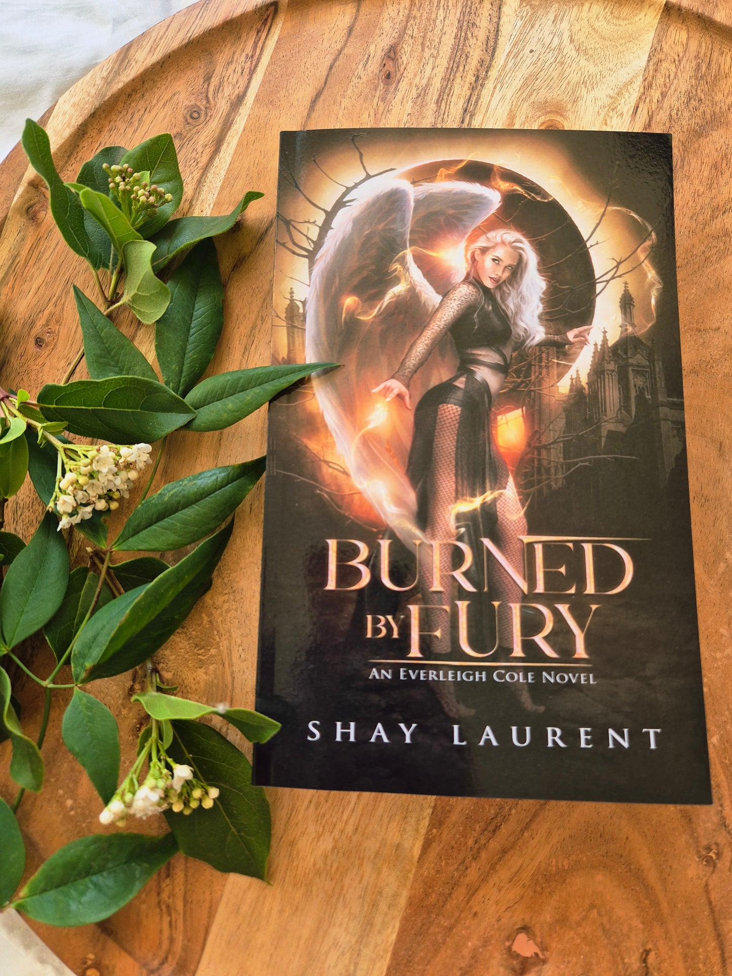 Burned In Fury by Shay Laurent (Everleigh Cole series book 1)