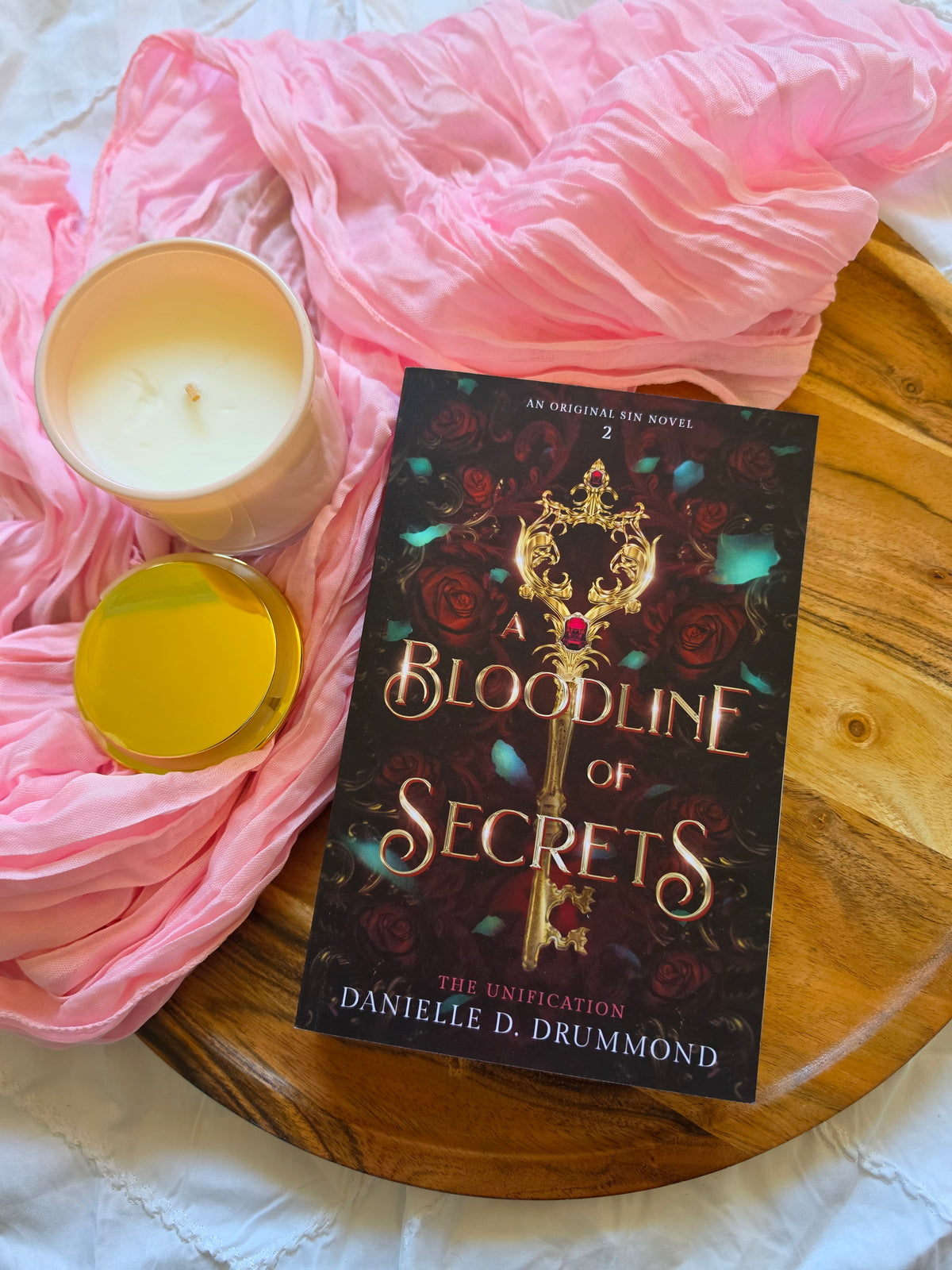 A Bloodline of Secrets by Danielle D Drummond (book 2)