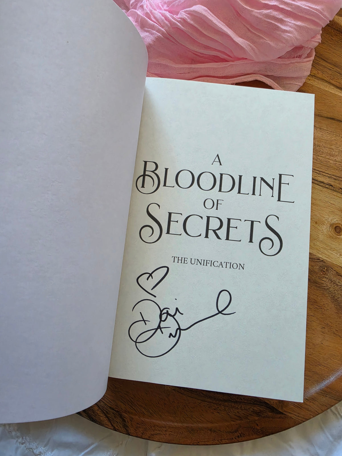 A Bloodline of Secrets by Danielle D Drummond (book 2)