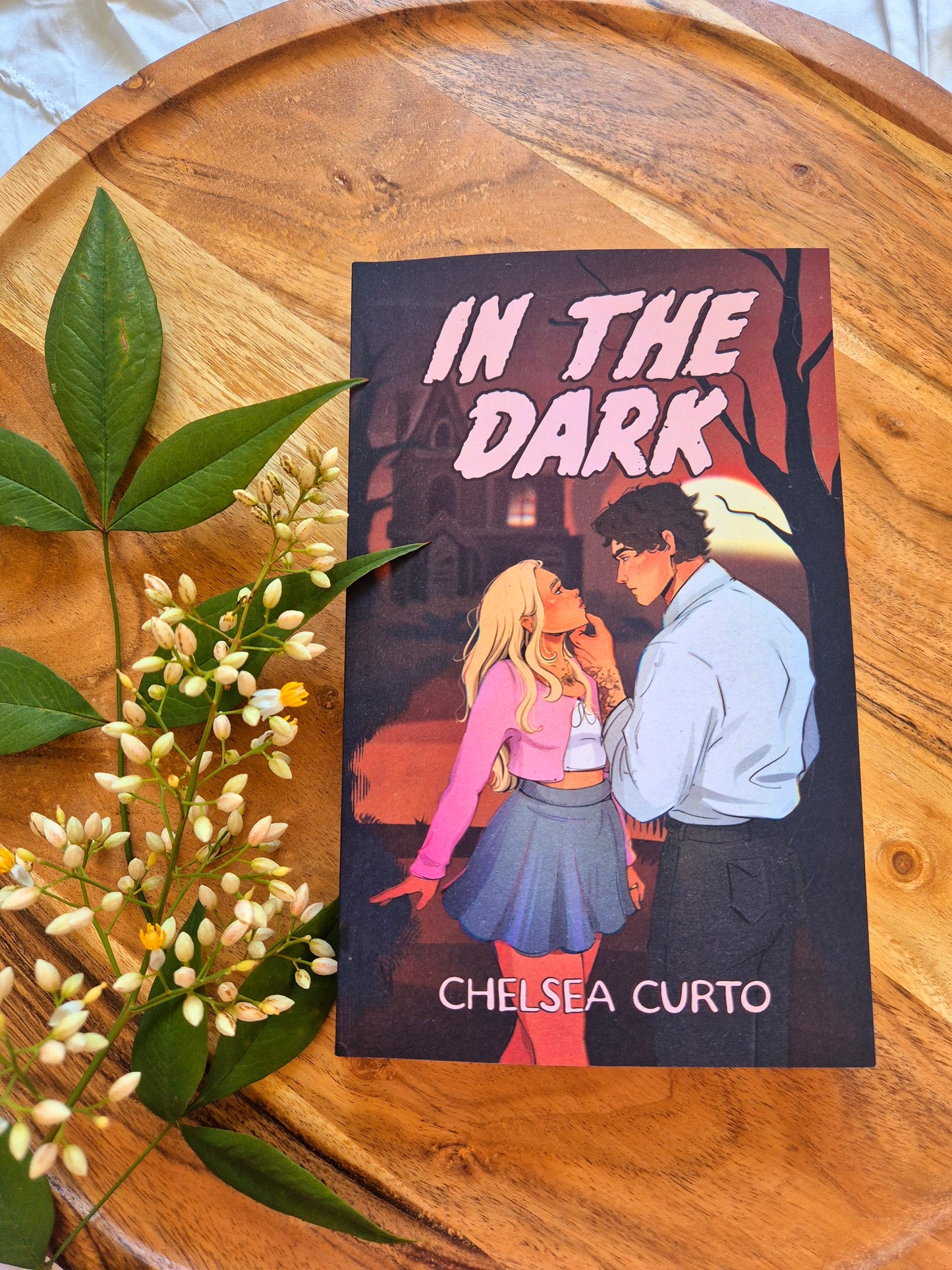 In The Dark by Chelsea Curto (alternative cover)