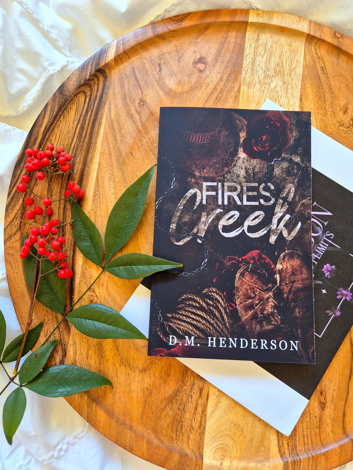 Fires Creek by D.M Henderson